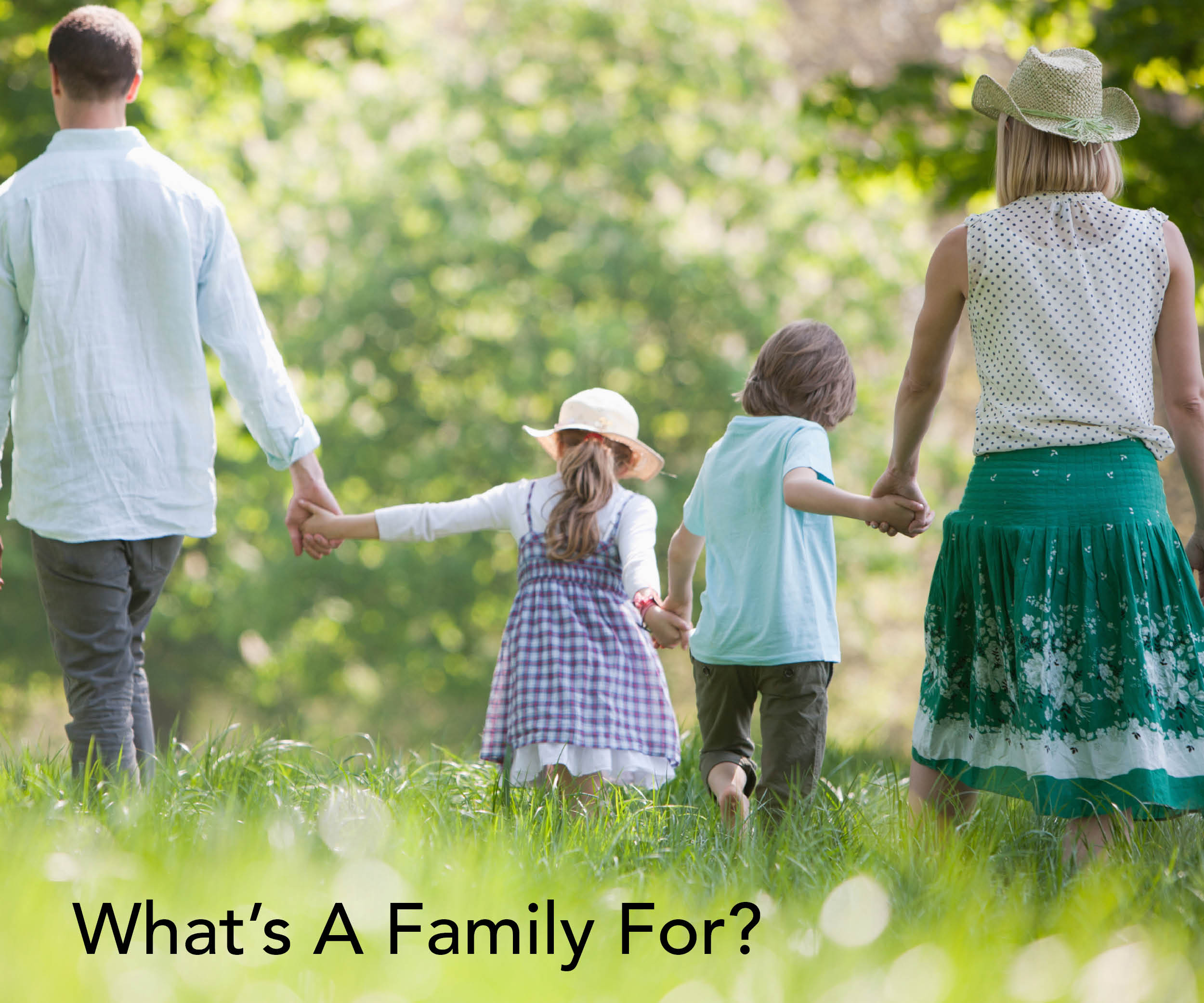 Семья благополучие отношения. Благополучие в семье. Зеленое поле семья. Счастливая семья в поле. Семья картинки красивые.