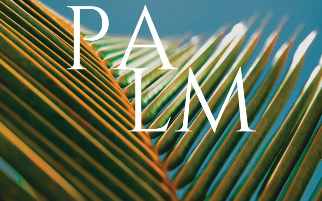Palm Sunday – The Triumphant Entry
