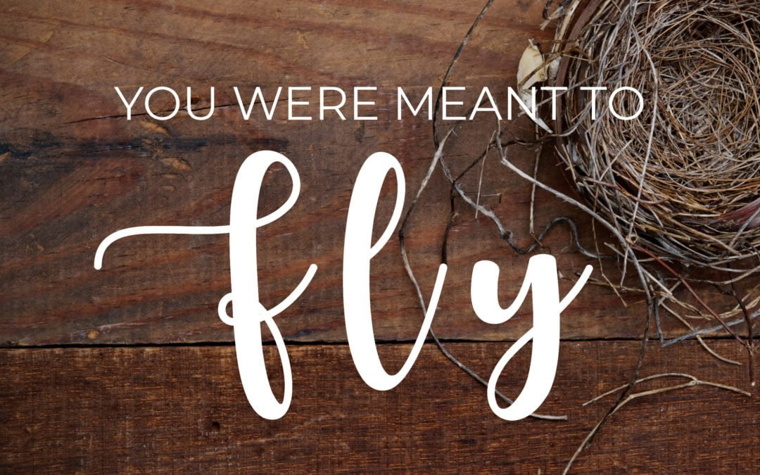 You Were Meant To Fly