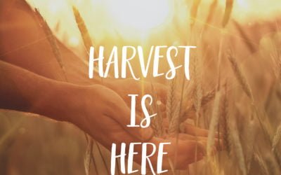 Harvest is Here