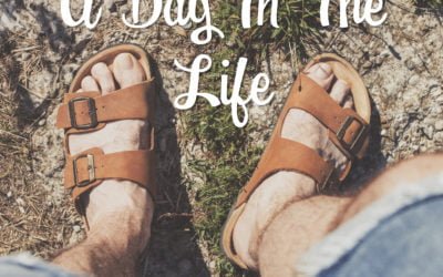 A Day In The Life