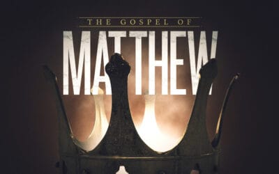 A Feeling You Will Never Forget